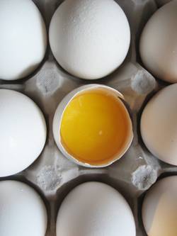 eggs are a useful skincare ingredient